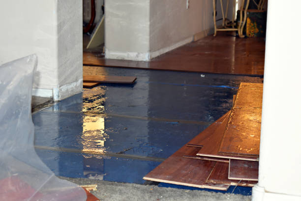 Professional Sewage Cleanup technician working in Albion, ME